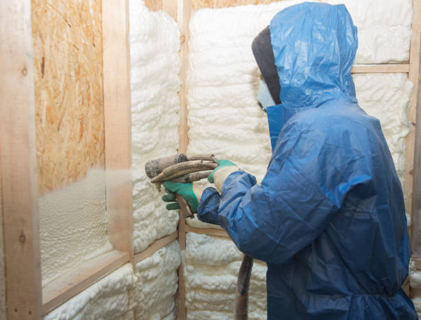 Best Spray Foam Insulation  in Kings Mills, OH